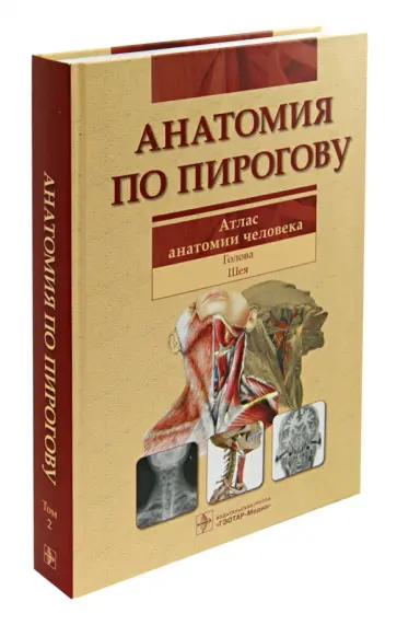 Шилкин, Филимонов - Анатомия по Пирогову. Атлас анатомии человека. В 3-х томах. Том 2: Голова. Шея Шилкин, Филимонов - Анатомия по Пирогову. Атлас анатомии человека. В 3-х томах. Том 2: Голова. Шея обложка книги