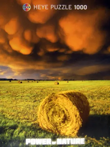 Puzzle-1000 "Наступающая буря" (29550) обложка книги