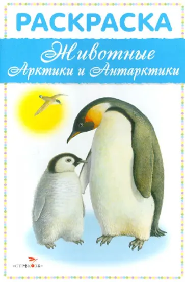 Раскраска "Животные Арктики и Антарктики" обложка книги