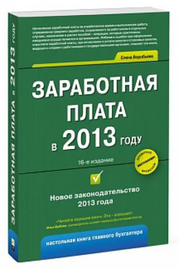 Елена Воробьева - Заработная плата в 2013 году обложка книги