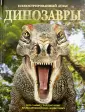 Хаммонд Паула