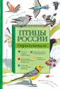 Наглядный определитель