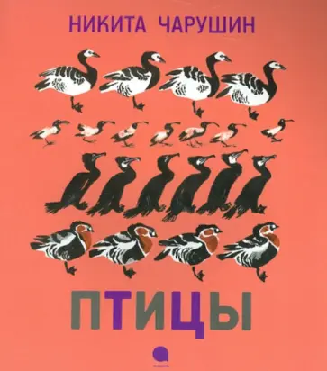 Никита Чарушин - Птицы обложка книги