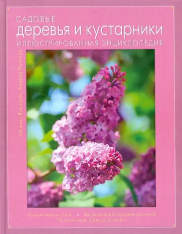 Новые книги