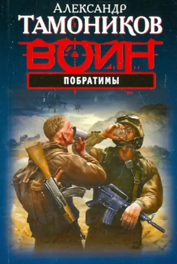 Александр Тамоников - Побратимы обложка книги