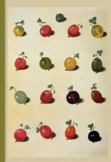 Блокнот "Ботаника". Крыжовник Блокнот "Ботаника". Крыжовник обложка книги