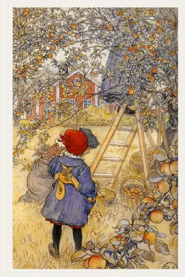 Блокнот. Сбор яблок Блокнот. Сбор яблок обложка книги