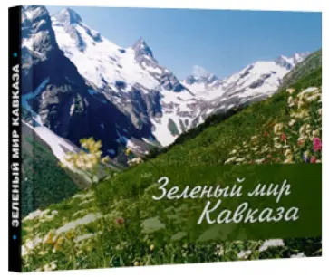 Владимир Романенко - Зеленый мир Кавказа обложка книги