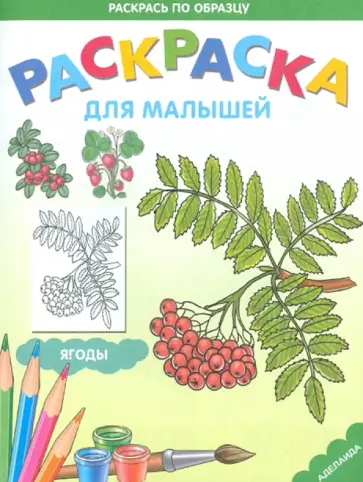 Раскраска Ягоды обложка книги