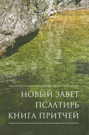 Новый Завет. Псалтирь. Притчи обложка книги