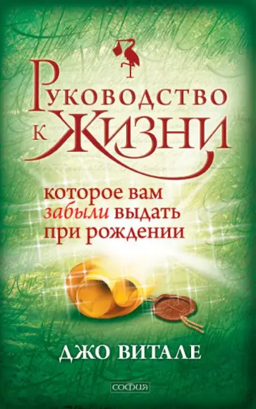 Джо Витале - Руководство к жизни, которое вам забыли выдать при рождении Джо Витале - Руководство к жизни, которое вам забыли выдать при рождении обложка книги