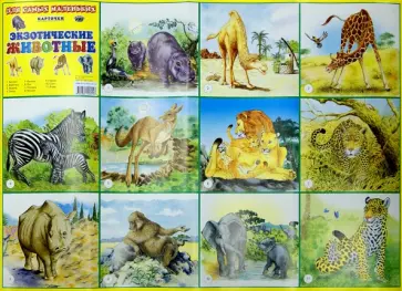 Плакат "Экзотические животные. Для самых маленьких" обложка книги