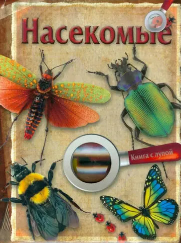 Книга с лупой. Насекомые обложка книги