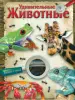 Миниатюра 1