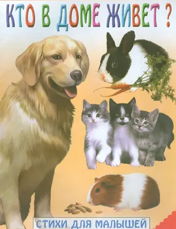 Кто в доме живет? обложка книги