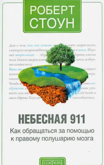 Роберт Стоун - Небесная 911. Как обращаться за помощью к правому полушарию мозга обложка книги