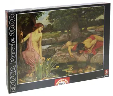 Пазл, 3000 деталей, "Нарцисс и Эхо, Д. У. Уотерхаус" (15541) обложка книги