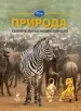 Миниатюра 2