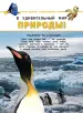 Миниатюра 5