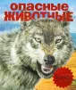 Музик Джон А.