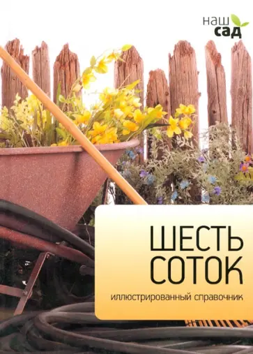 Джейн Мур - Шесть соток обложка книги