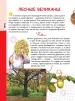 Миниатюра 5