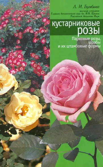 Любовь Бумбеева - Кустарниковые розы (парковые розы, шрабы, штамповые формы) обложка книги