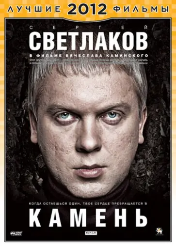 Владимир Каминский - Камень (DVD) обложка книги