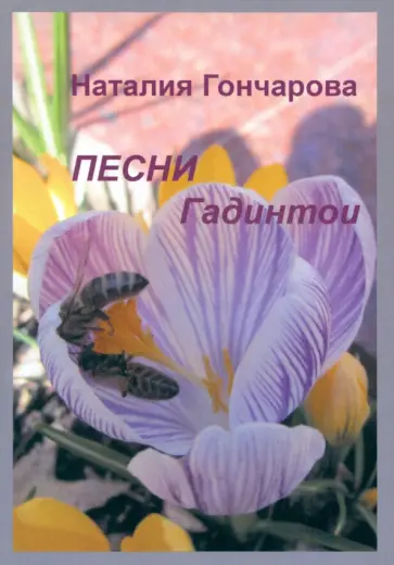 Наталия Гончарова - Песни Гадинтои Наталия Гончарова - Песни Гадинтои обложка книги
