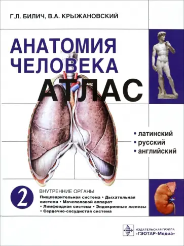 Билич, Крыжановский - Атлас анатомии человека. В 3-х томах. Том 2 Билич, Крыжановский - Атлас анатомии человека. В 3-х томах. Том 2 обложка книги