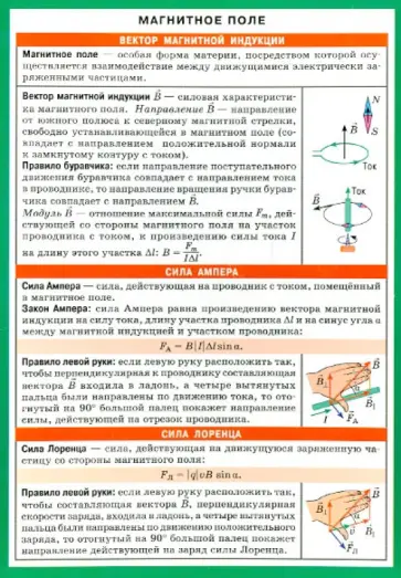 Магнитное поле. Электромагнитная индукция обложка книги