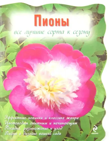 Анна Рубинина - Пионы обложка книги