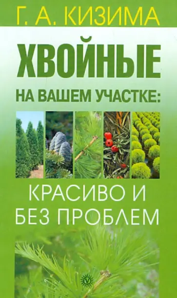 Галина Кизима - Хвойные на вашем участке: красиво и без проблем обложка книги