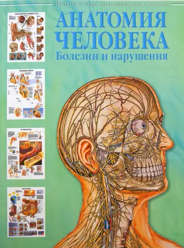 Анатомия человека. Болезни и нарушения обложка книги