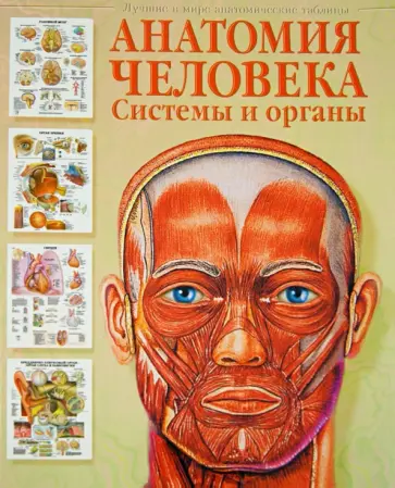 Анатомия человека. Системы и органы обложка книги
