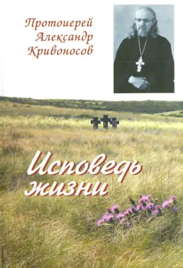 Александр Протоиерей - Исповедь жизни обложка книги