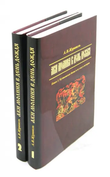 Александр Журавель - "Аки молния в день дождя". В 2-х книгах обложка книги