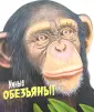Дикие животные со стеклянными глазами 3D