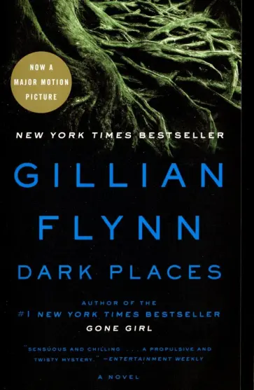 Gillian Flynn - Dark Places Gillian Flynn - Dark Places обложка книги