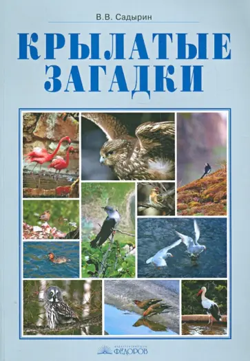 Владимир Садырин - Крылатые загадки. Фотоальбом к курсу "Окружающий мир". 3-4 классы Владимир Садырин - Крылатые загадки. Фотоальбом к курсу "Окружающий мир". 3-4 классы обложка книги