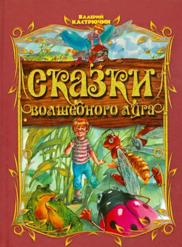Валерий Кастрючин - Сказки волшебного луга обложка книги