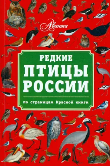 Владимир Бабенко - Редкие птицы России. По страницам Красной книги обложка книги