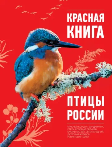 Оксана Скалдина - Красная книга. Птицы России обложка книги