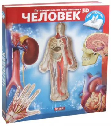 Luann Colombo - Человек. Путеводитель по телу человека 3D Luann Colombo - Человек. Путеводитель по телу человека 3D обложка книги