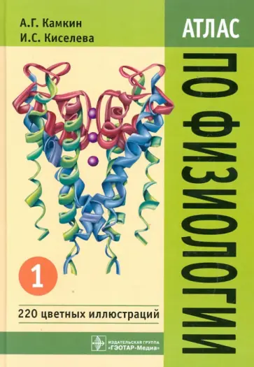 Камкин, Киселева - Атлас по физиологии. В 2-х томах. Том 1. Учебное пособие обложка книги