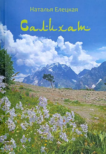Наталья Елецкая - Салихат обложка книги