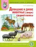 Миниатюра 1