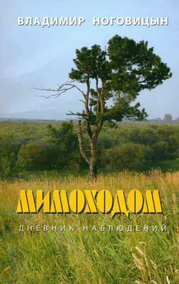 Владимир Ноговицын - Мимоходом. Дневник наблюдений Владимир Ноговицын - Мимоходом. Дневник наблюдений обложка книги