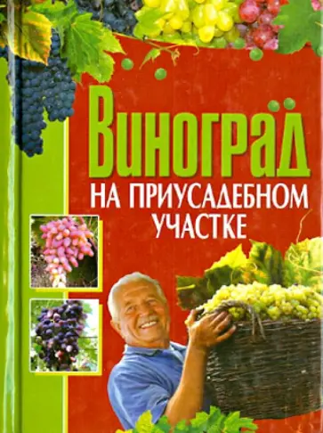 Демин, Крючков - Виноград на приусадебном участке Демин, Крючков - Виноград на приусадебном участке обложка книги