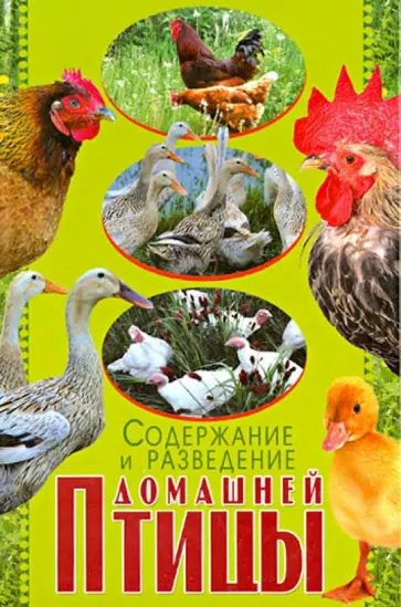 Балашов, Жмакин - Содержание и разведение домашней птицы Балашов, Жмакин - Содержание и разведение домашней птицы обложка книги